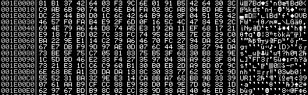 Reference to the malicious Xjs.dll file, which is loaded and executed by the main executable