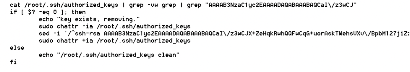 Code showing SSH keys sanitization 