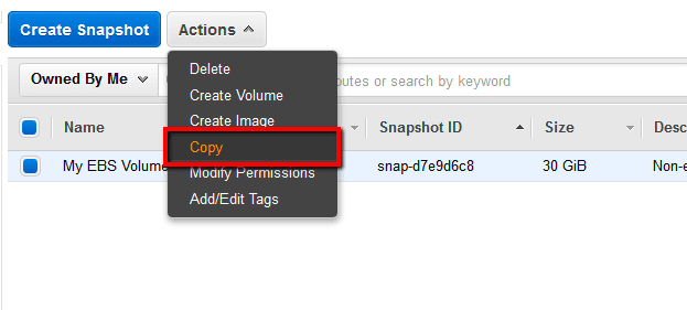 Click the Actions dropdown button from the EBS snapshot dashboard top menu and select Copy