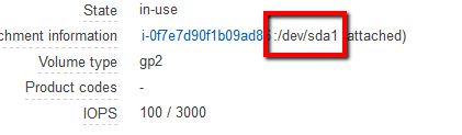 EBS volume contains the /dev/sda1