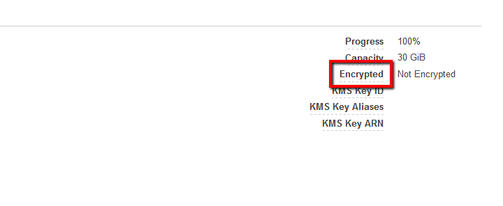 Encrypted section from the Description tab