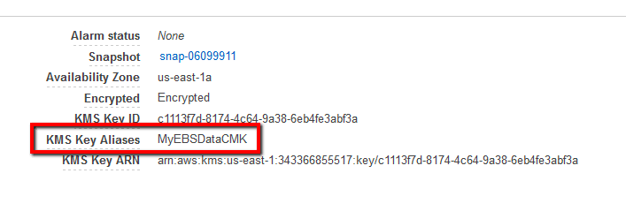 checking the KMS Key Aliases value