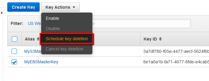 Click on the Key Actions dropdown menu and select Schedule key deletion