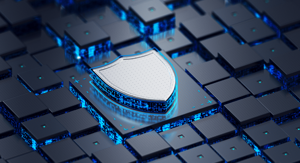 Global non-profits ask web firms with India ops to defend privacy