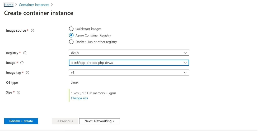 Figure 6. The container image that is executed through the Azure Portal
