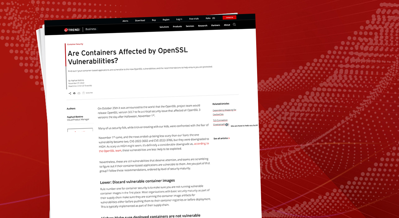 Are My Containers Affected by the New OpenSSL Vulnerabilities?