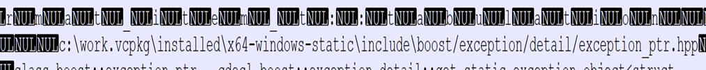 Figure 4. Leaked assert() path