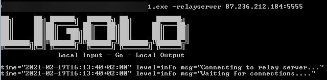  Figure 5. LIGOLO execution example