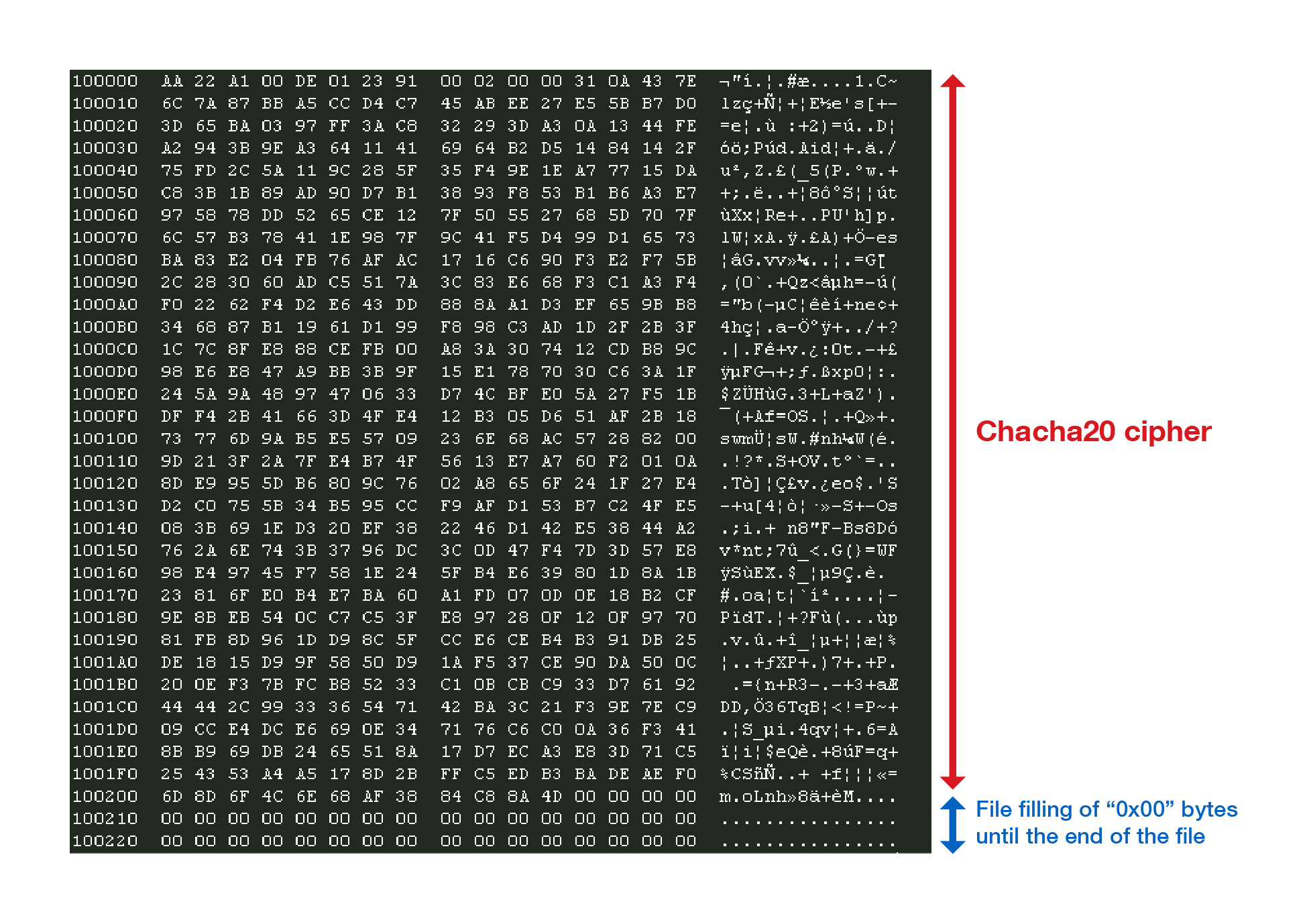 Hex view of the encrypted file