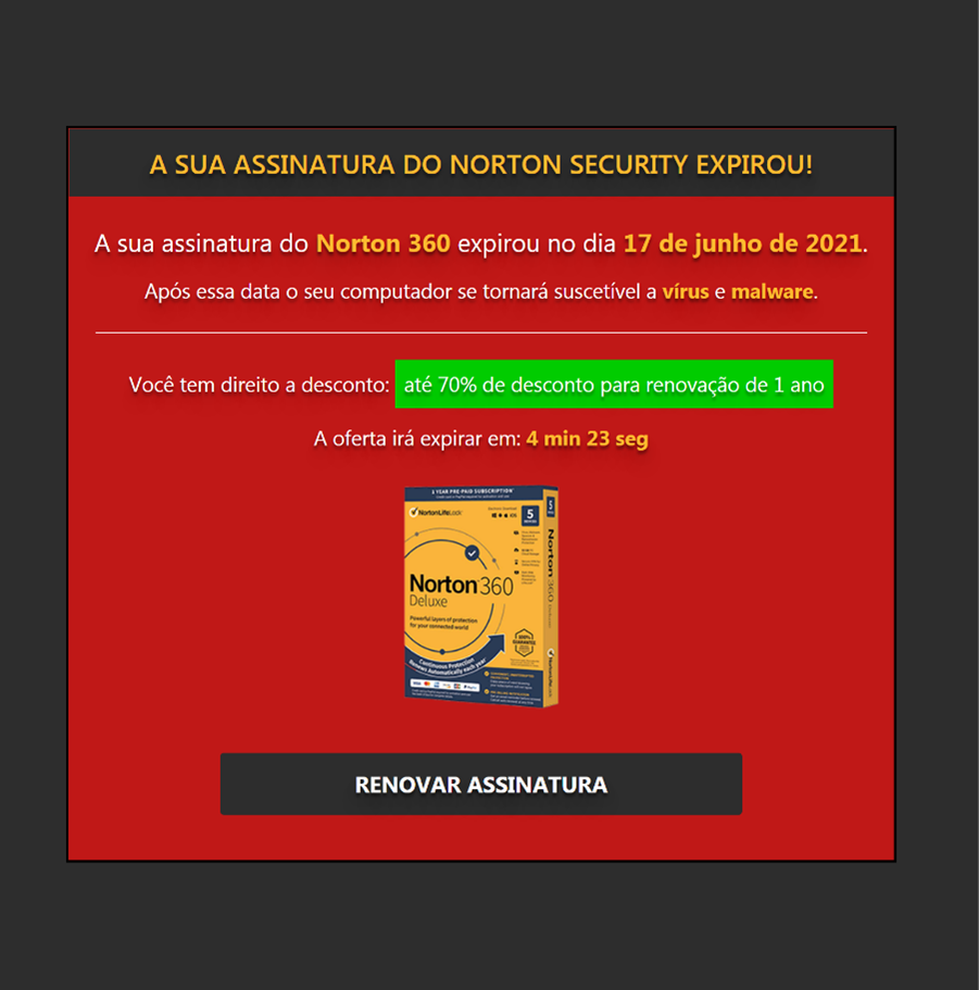 Figure 6. Norton advertisement localised for users in Brazil