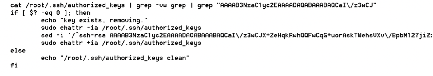 Code showing SSH keys sanitisation 