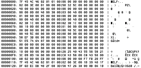 UPX header present in the binary