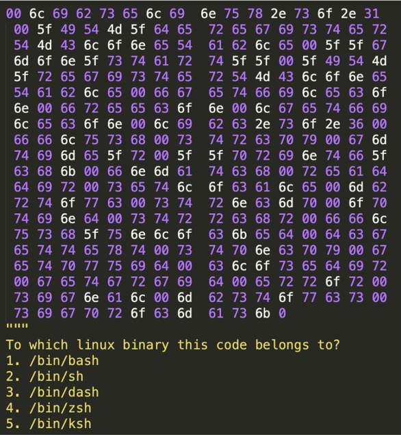 Codex parsing and recognizing binary in the form of hexadecimal values