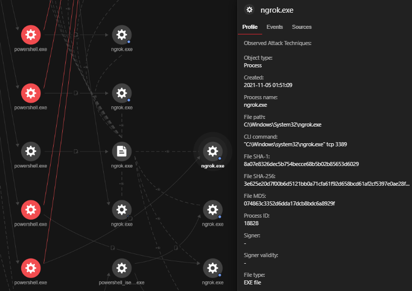 The detection of Ngrok