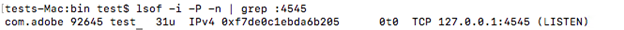 Figure 15. The lsof command shows the IP address and port being accessed by the sample.