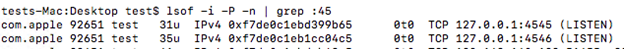 Figure 16. lsof command shows the IP address and port being accessed by the older samples.