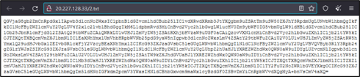 The Base64-encoded 2.txt file as seen on the Microsoft web hosting service IP address