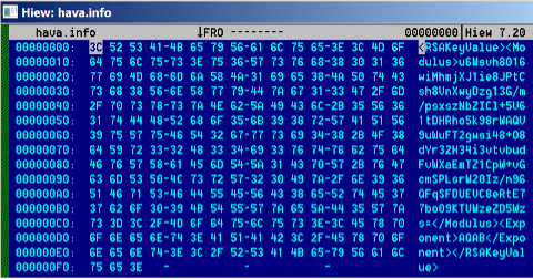 The contents of hava.info that we obtained using HIEW, a console hex editor