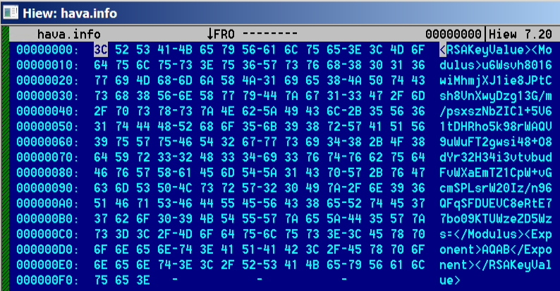 The contents of hava.info that we obtained using HIEW, a console hex editor