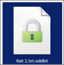 Figure 14. A file encrypted by SolidBit ransomware 