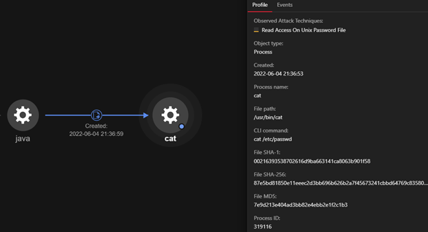 Figure 4. Using the “cat” process to view '/etc/passwd'