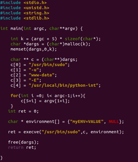 Figure 13. Custom binary PoC