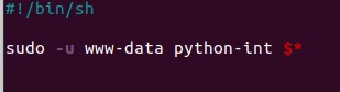 Figure 8. Executing the python under user www-data passing all other parameters