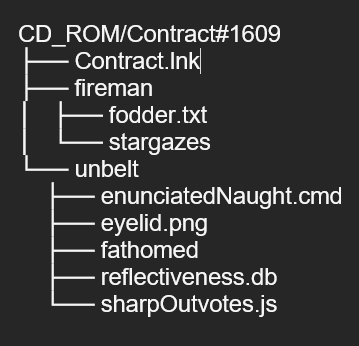 Figure 5. Directory structure