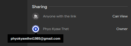 The file owner's name and email address