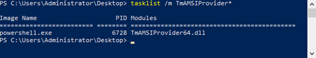 Figure 3. TmAMSIProvider loaded