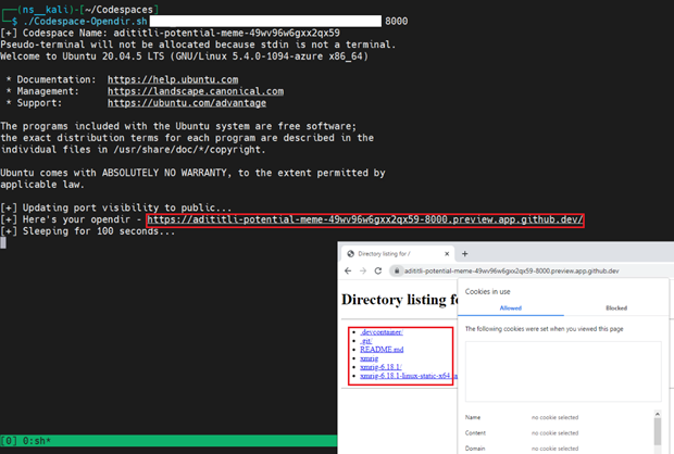 fig8-abusing-github-codespaces-for-malware-delivery-hosting