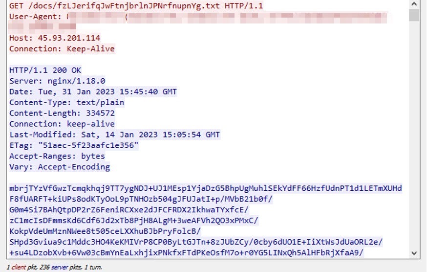 HTTP response from hxxp://45.93.201[.]114/docs/fzLJerifqJwFtnjbrlnJPNrfnupnYg[.]txt