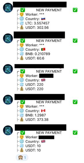 Figure 13. Telegram channel logging cryptocurrency payments