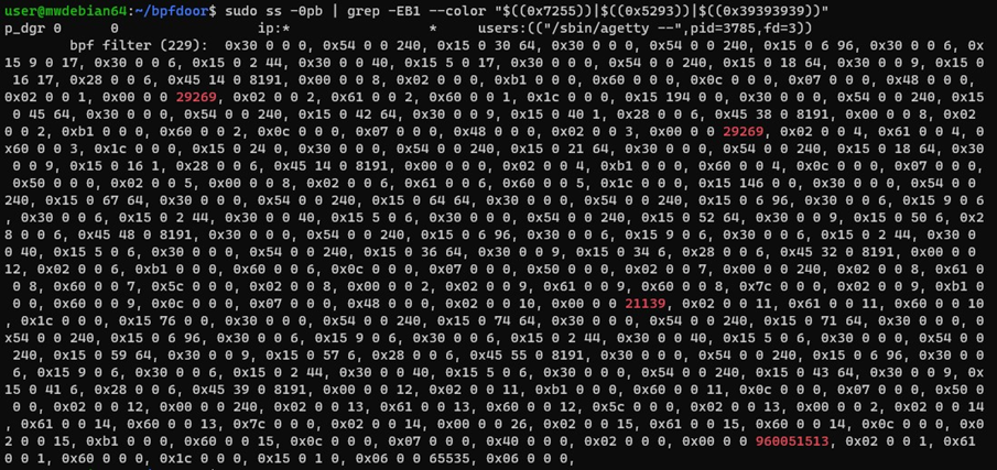 figure10-detecting-bpfdoor-backdoor-variants-abusing-bpf-filters-red-menshen-apt