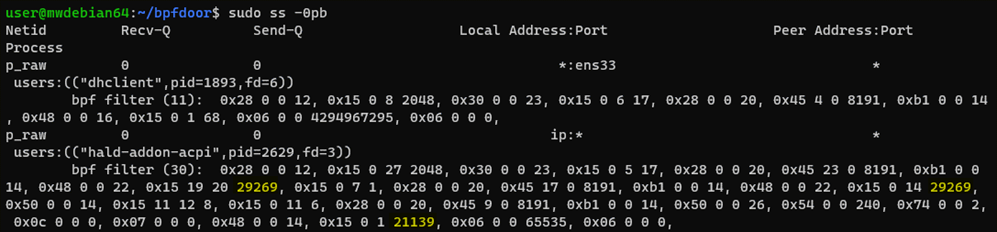 figure9-detecting-bpfdoor-backdoor-variants-abusing-bpf-filters-red-menshen-apt