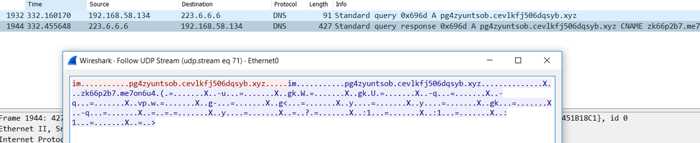 Figure 18. DNS request from the first-stage driver