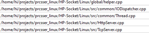 Figure 6. HP-Socket references among visible strings