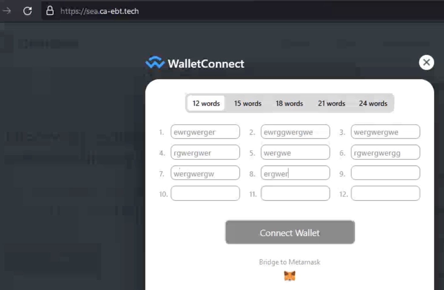 Figure 2. A fake WalletConnect phishing page from a phishing kit seller demo