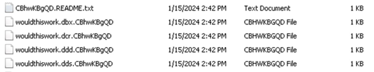 Figure 18. Sample encrypted files by the Kasseika ransomware 