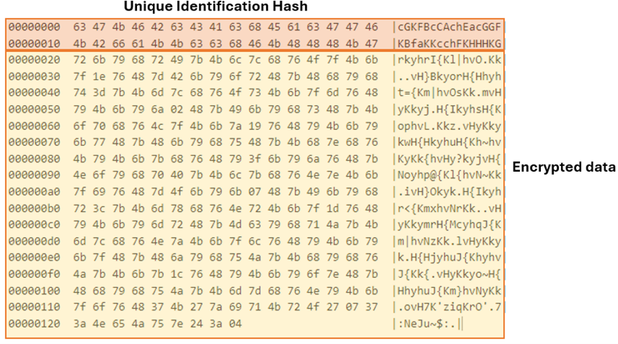 Figure 24. Packet decryption key and encrypted content