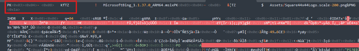Figure 13. The file header to the payload