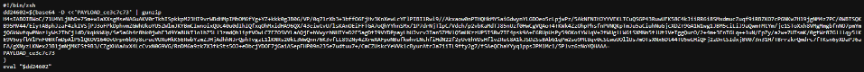 Figure 8. Snippet of initial script from the base64-decoded URL