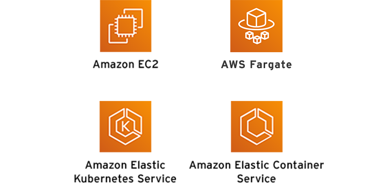 Amazon EC2 / AWS Fargate / Amazon Elastic Kubernetes Service / Amazon Elastic Container Sercice