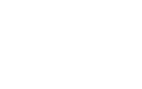 Project 2030