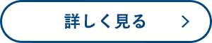 詳しく見る