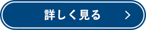 詳しく見る